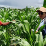 Hombre y mujer son capturados por lesiones recíprocas durante una riña en Guasdualito