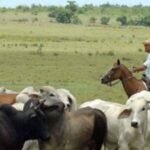 NABEP: la empresa que puso de nuevo a Venezuela en el mapa petrolero mundial