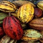 Economía venezolana proyecta crecimiento de 6,5 % al cierre de 2026