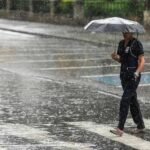 Venezuela activa despliegue nacional para caracterizar el rebaño bovino