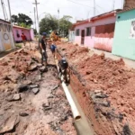 Sector ganadero de Apure prepara reservas de alimento y agua ante el período seco